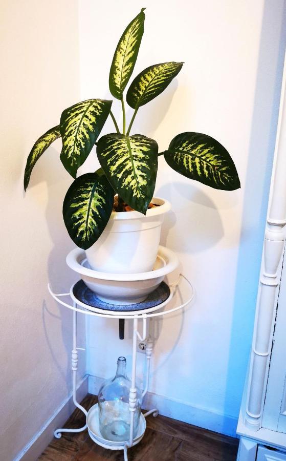 Apartamento Gaivota, Vida à Portuguesa Portimão Extérieur photo
